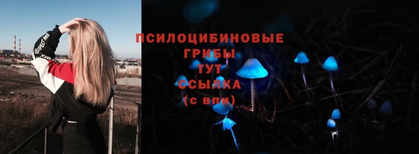 ГАЛЛЮЦИНОГЕННЫЕ ГРИБЫ Волоколамск
