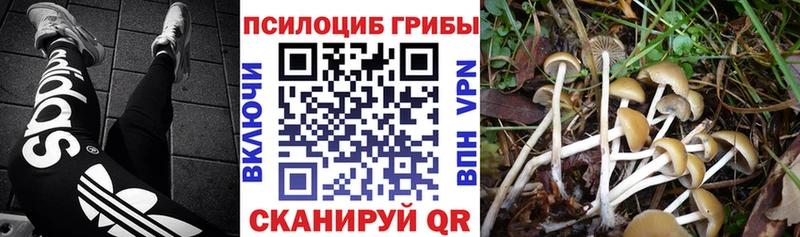 Псилоцибиновые грибы Magic Shrooms  Весьегонск 