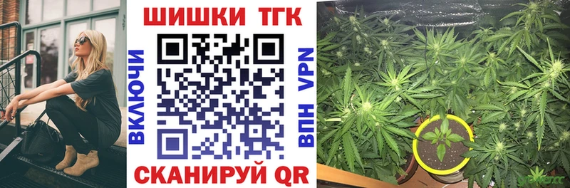 Шишки марихуана гибрид  цены наркотик  Весьегонск 